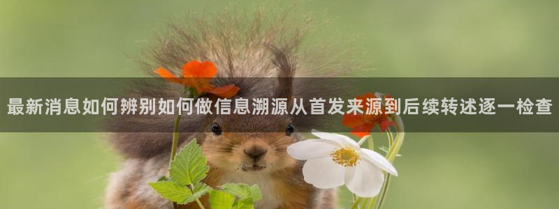 91吃瓜最新入口：最新消息如何辨别如何做信息溯源从首发来源到后续转述逐一检查
