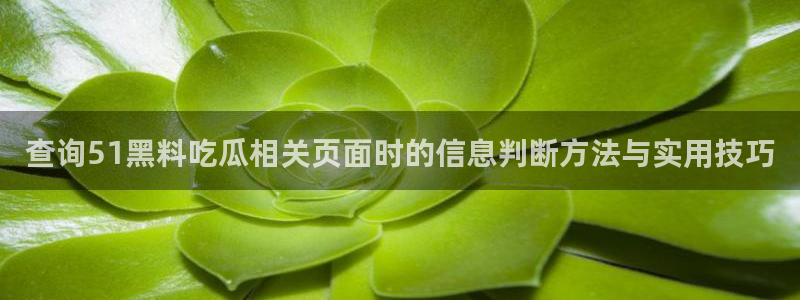 91吃瓜网络事件：查询51黑料吃瓜相关页面时的信息判断方法与实用技巧