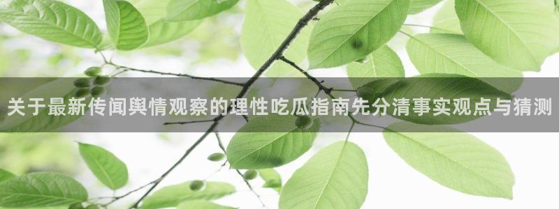 吃瓜网络热点：关于最新传闻舆情观察的理性吃瓜指南先分清事实观点与猜测