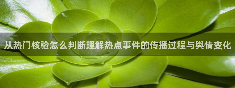91吃瓜热搜榜：从热门核验怎么判断理解热点事件的传播过程与舆情变化
