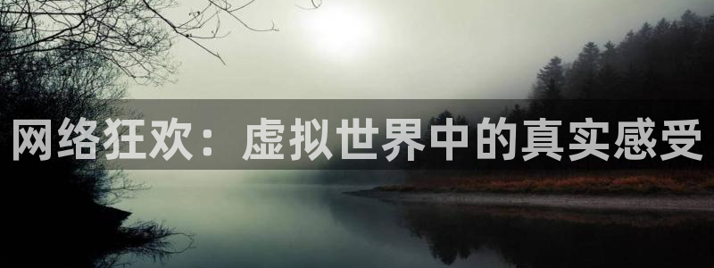 吃瓜网：网络狂欢：虚拟世界中的真实感受