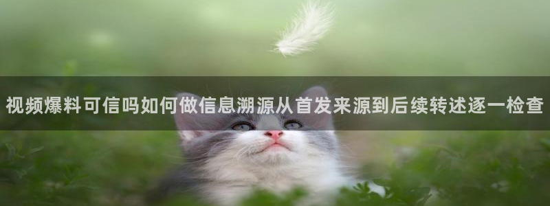 吃瓜网络资讯