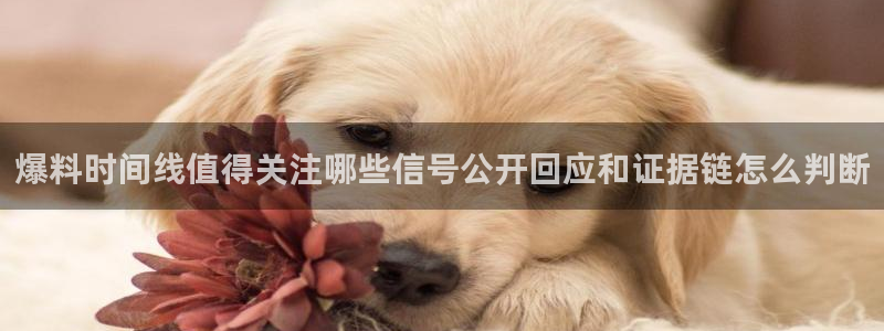 91吃瓜热点网
